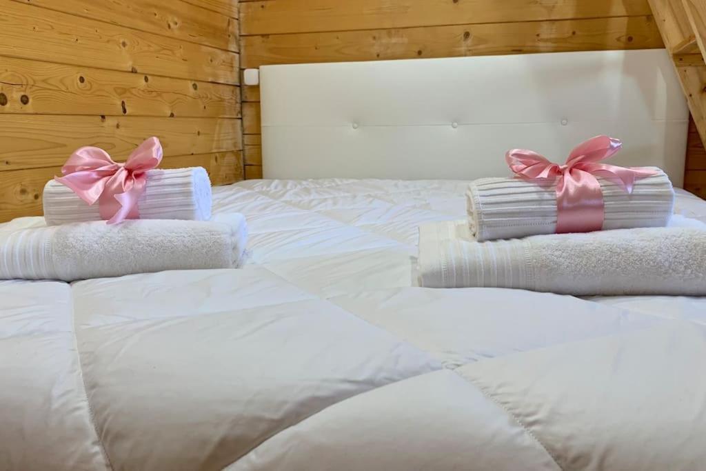 바라간카 Quinta Pedro E Ines 빌라 외부 사진