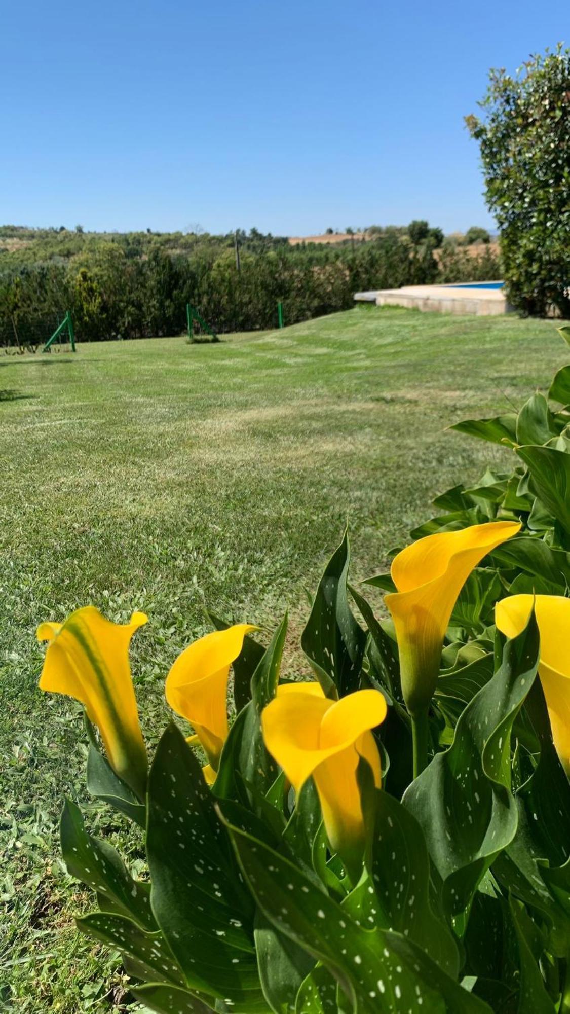 바라간카 Quinta Pedro E Ines 빌라 외부 사진